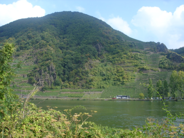 034 - PAYSAGE DES BORDS DE LA MOSELLE 15.JPG